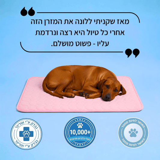 מזרן הקירור - FrigiDog™ + מתנות
