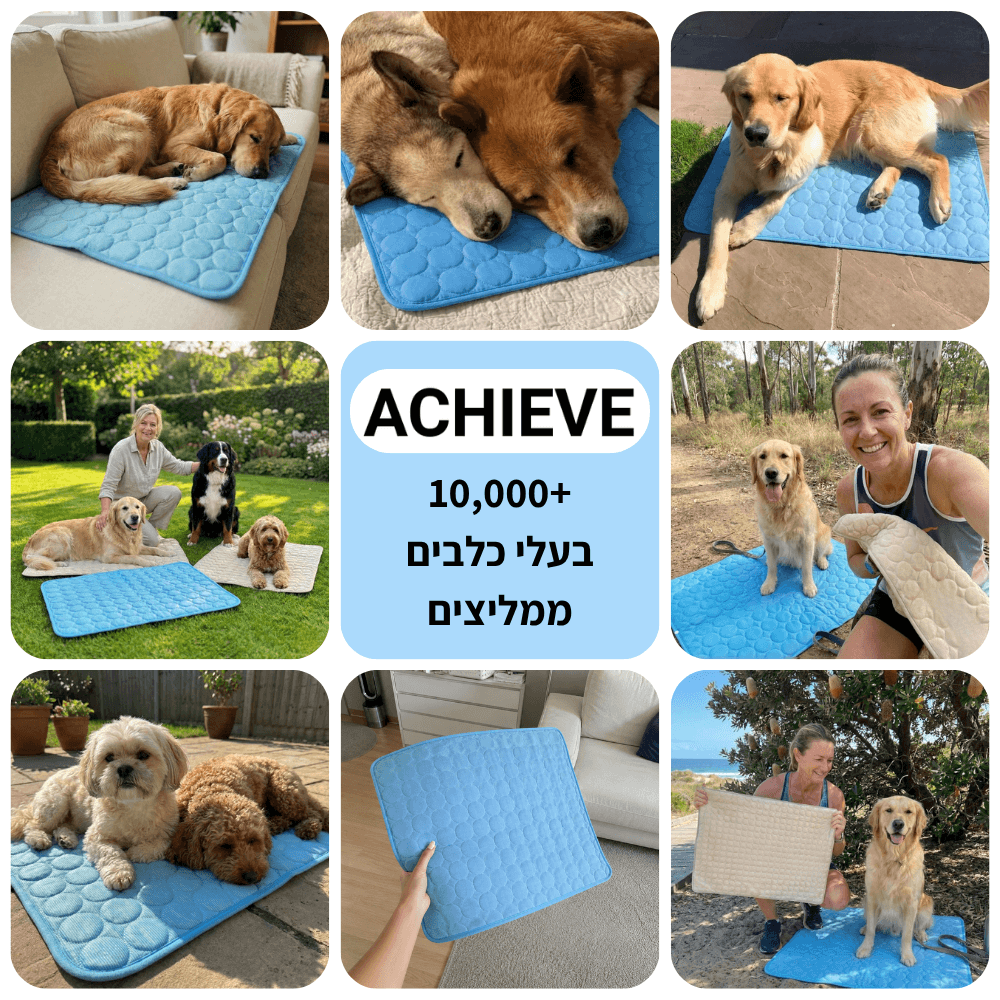 מזרן הקירור - FrigiDog™ + מתנות