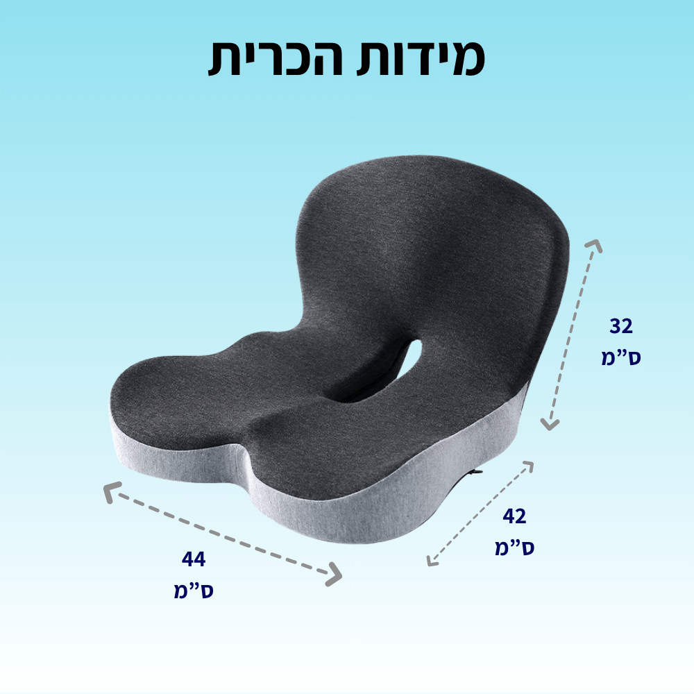 כרית גב בריא+ מבית Achieve