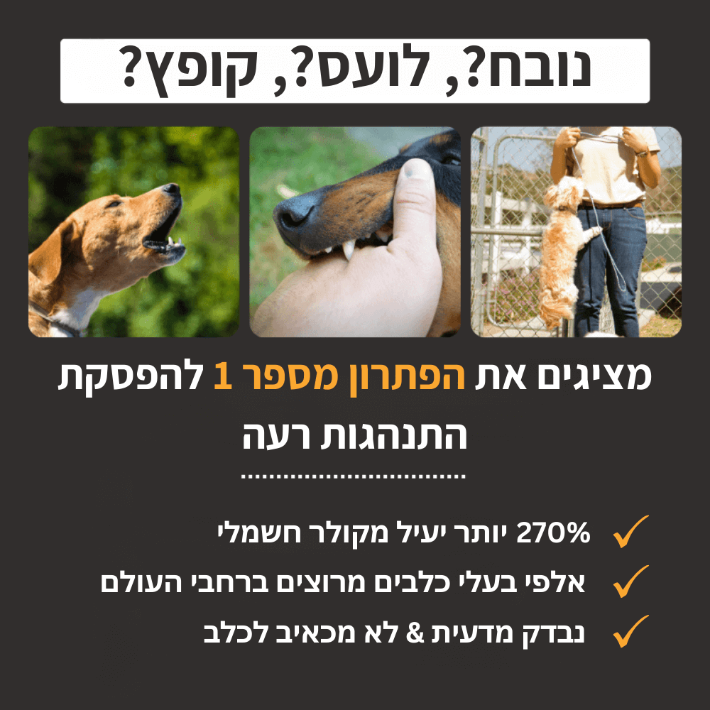 BarkPass™ - לכלב ממושמע ושקט יותר