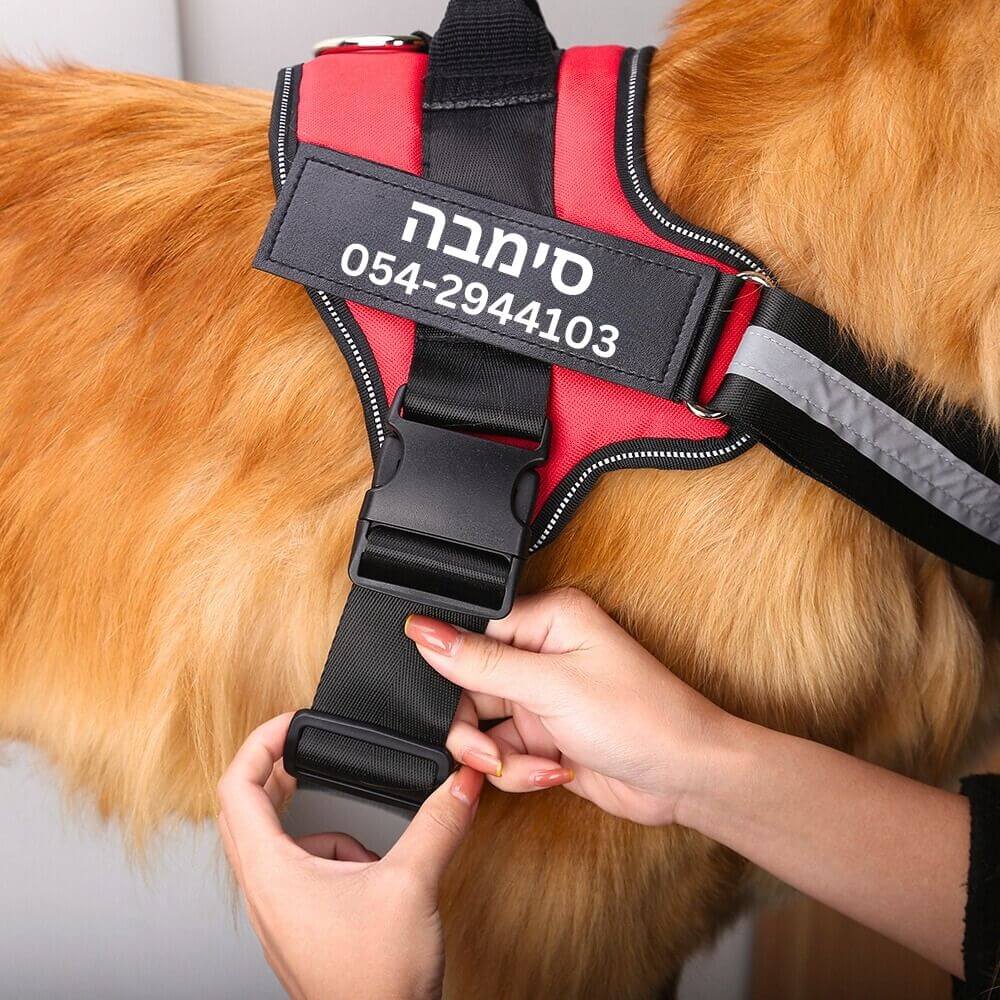 SafePup™ | מניעת משיכות ופציעות לטיולים רגועים