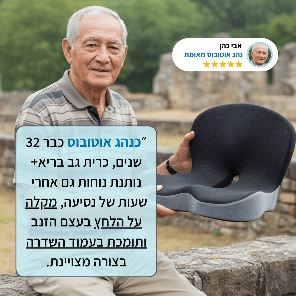 כרית גב בריא+ מבית Achieve